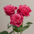 Tavola Cherry O trio roses