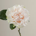 Tavola Cotton Xpression single rose