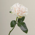 Tavola Cotton Xpression stem rose