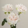 Tavola Cotton Xpression trio roses