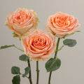 Tavola Country Home trio roses