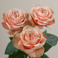 Tavola Kahala trio roses