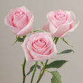 Tavola Luciano trio roses