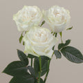 Tavola Moonstone trio roses