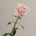 Tavola Mother Of Pearl stem rose