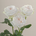 Tavola White O Hara trio roses