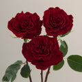 Tavola Hearts trio roses