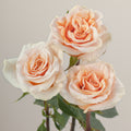 Tavola Phoenix trio roses