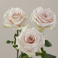 Tavola Quicksand trio roses